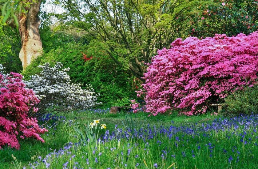 High Beeches Gardens, United Kingdom